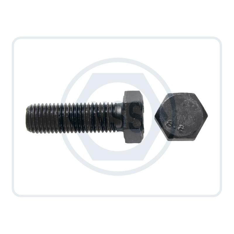 Hex Head Set Screws